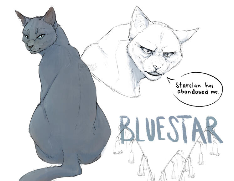 warrior cats S