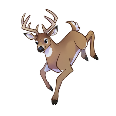 cerf de virginie