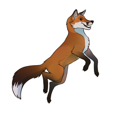 renard roux