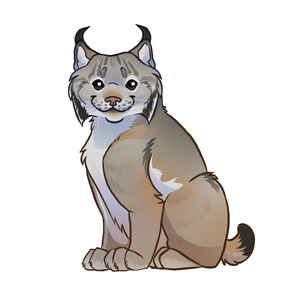 lynx du canada