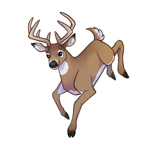 cerf de virginie