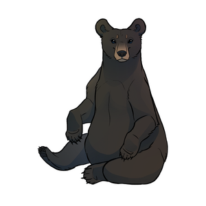 ours noir