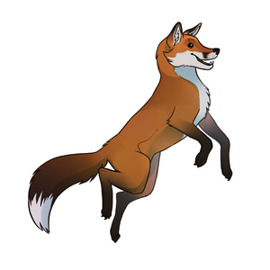 renard roux