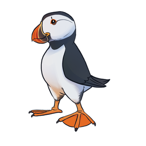 macareux (2.5&#39;&#39;)